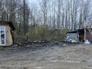 Беда в можайском приюте для бездомных животных объединила сотни неравнодушных сердец