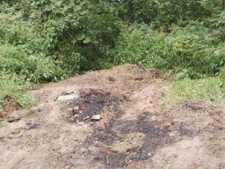 Суд обязал предпринимательницу из Люберец возместить ₽2 млн ущерба за свалку
