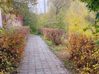 Аллею вдоль пешеходной дорожки на улице Бережок привели в порядок в Ивантеевке