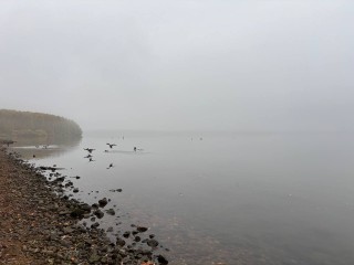 Солнечногорск накрыл густой туман