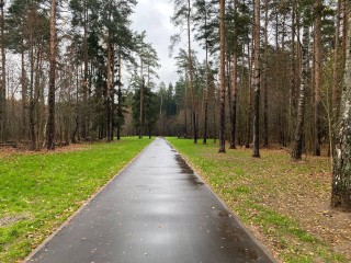 Закупочные процедуры: в Черноголовке готовятся к освещению улиц Лесной и Первой