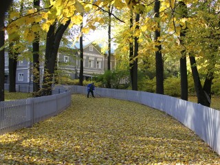 Народные приметы октября: как предсказывали погоду предки