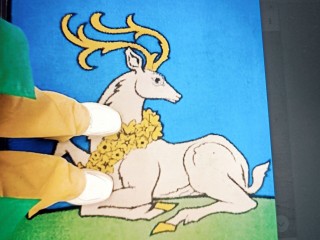 В администрации Одинцовского округа больше не будут топтать герб