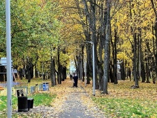 Пасмурно и дождливо будет в Подмосковье до конца этого дня