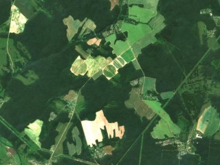 На «Золотой осени – 2025» Подмосковье презентовало интерактивную карту для аграриев