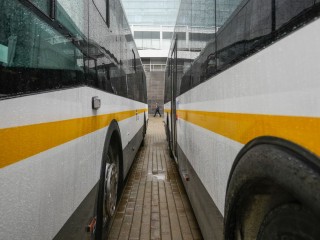 Автобусы и электрички в Лосино-Петровском изменят режим работы в начале ноября