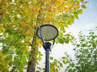 В Шаховской заменили 55 старых уличных фонарей на современные светильники