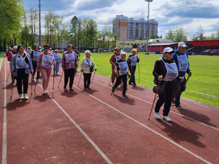 Скандинавская ходьба, лекция и чаепитие: жителей округа приглашают на спортивное мероприятие «Солнечный шаг»