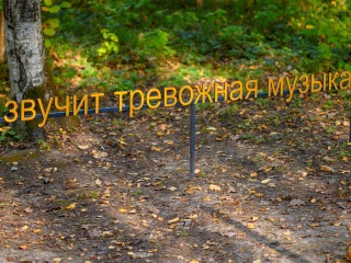 Синоптики обещают пасмурную и дождливую неделю в Подмосковье