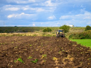 Нерадивым землевладельцам Подмосковья в пять раз поднимут налог