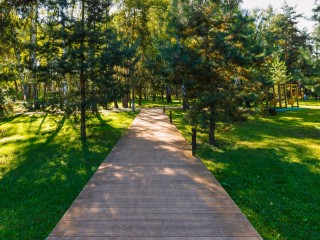 В Березовом парке поменяют покрытие дорожек