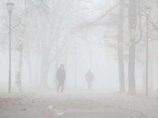 Видимость в Подмосковье упадет до 100 метров из-за тумана