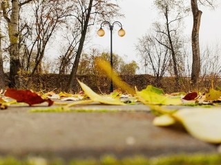 Мощные ливни обрушатся на Подмосковье на следующей неделе