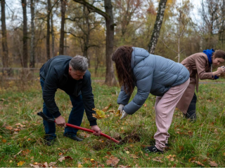 Деревья высадили во Фрязинском лесопарке в честь Дня отца