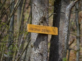 Исцеляющий от недугов синий камень предлагают найти туристам в Коломне