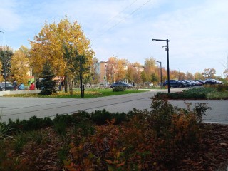 Обновленный сквер «60 лет Победы» стал одним из любимых мест егорьевцев