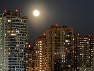Гороскоп на 8 октября 2025 года: семь советов, как пережить сложную среду