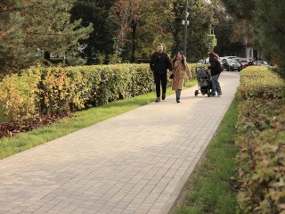 Заброшенная территория стала парком: что построят на обновленной «Папанинской даче»