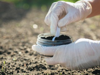 Садоводство стало популярным творческим хобби у молодежи