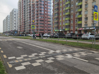 На улице Камова организуют дополнительный пешеходный переход