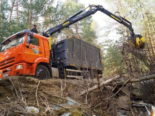Орехово-Зуево стал лидером округов по объему ликвидированных мусорных свалок в лесах