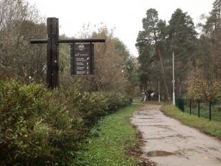 Магнит для туристов: дендрарий и спортзоны расширят в парке «Волхонка»