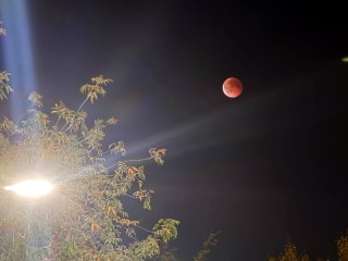 Народные приметы и прогноз погоды на 14 октября, Куприянов день, предскажут зиму