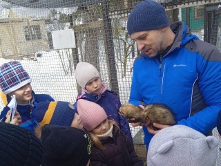 Хорьки зовут: черноголовцы могут попасть на научно-экспериментальную базу к семейству куньих