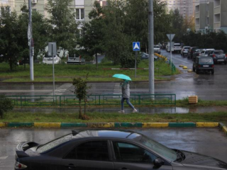 Синоптик Леус: потепление до +15° в Подмосковье сменят затяжные холодные дожди