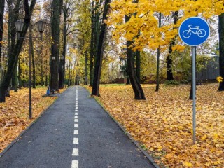Велодорожку до Звездного городка в Лосино-Петровском достроят до конца года