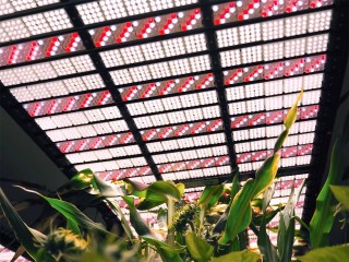 «Цифрового двойника» для краш-тестов в сельском хозяйстве создали в Щелкове