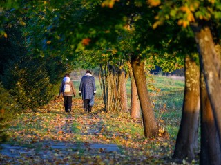 Классическая «золотая осень» пришла в Подмосковье
