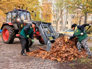 Коммунальные службы очистили бордюры, опилили деревья и покрасили ограждения