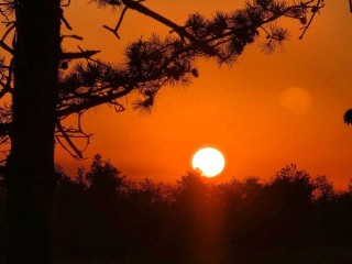 Сильные ветра подуют в Пушкино в первый день октября