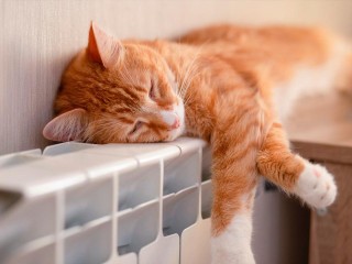 На Заречной вернут отопление к 17:00