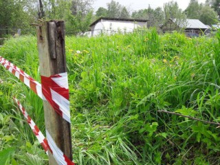В Подмосковье распределили бесплатные участки