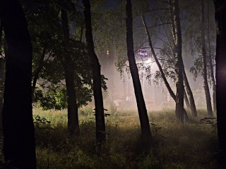 Забудьте про Хеллоуин: почему в ночь на 1 ноября древние славяне боялись выходить из дома