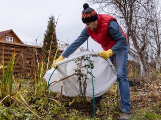 Неустойчивая погода с низким давлением и дождями накроет Подмосковье 25 октября
