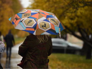 Погода до конца недели в Подмосковье: слякоть сменится сильными ливнями в этот день