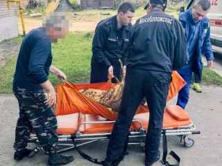 Спасатели помогли медикам госпитализировать жительницу округа Шатура
