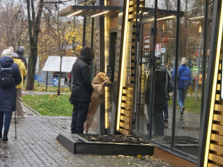 Фотография пса, покупающего кофе, стала вирусной в социальных сетях Реутова