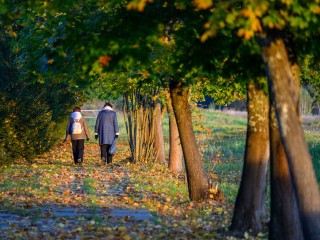 Где отдохнуть 4 октября: топ лучших событий для детей, родителей, бабушек и дедушек
