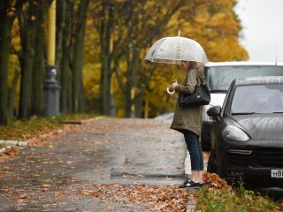 Снега можно не ждать: синоптик рассказал, каким будет ноябрь в Подмосковье