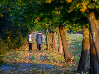 Октябрь решил подкинуть лето: Подмосковье ждет солнечный уикэнд
