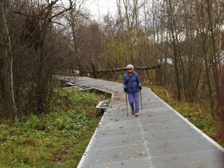 Летний сезон-2026: новую пляжную зону строят на озере Сенеж с удобным спуском к воде