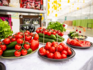 Искусственный интеллект применят для выращивания овощей в Кашире