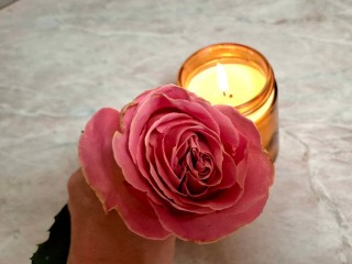 REGIONS «законсервировал» розу в воске, чтобы проверить завирусившийся лайфхак