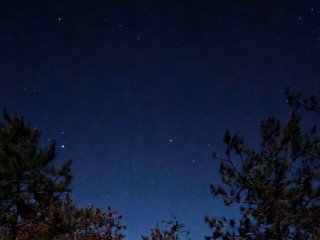 Гороскоп для всех знаков Зодиака на 23 октября: Овнов, Весов и Рыб может ждать скандал, а Скорпионов и Стрельцов — успех и признание