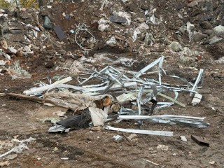 Обращения жителей помогли экологам выявить незаконную свалку в Яковлеве