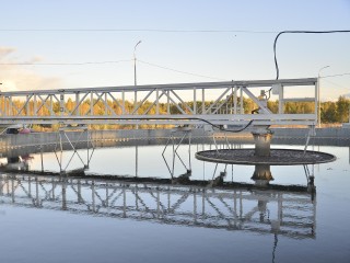 «Инспекторы природы»: почему появление этих животных на очистных сооружениях — хороший знак